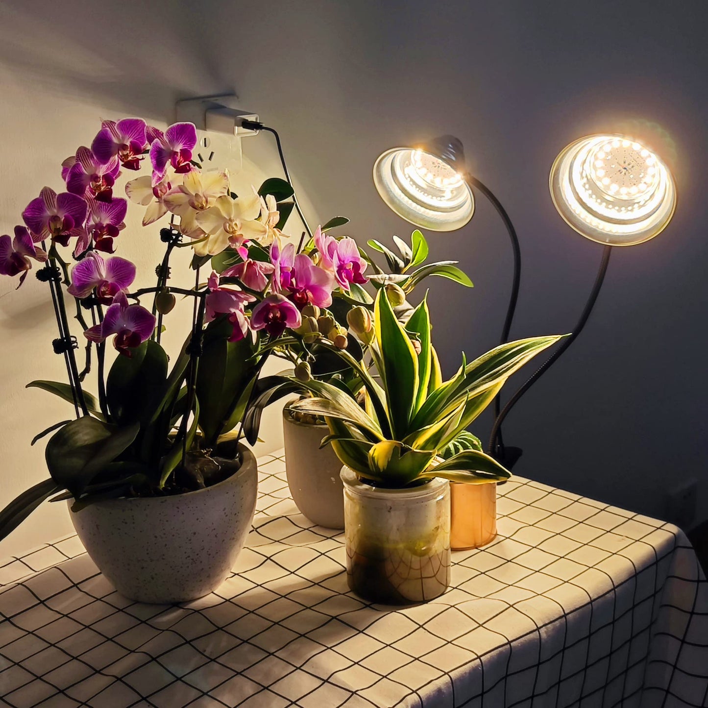 Skorter | Briignite LED Grow Light For Indoor Plants, Full Spectrum, Dimmable, Automatic Timer, Double Heads