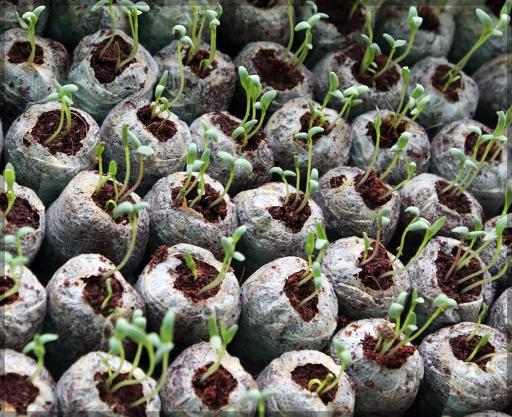 Skorter | Coconut Fiber Peat Seedling Pellets – Starter for Seed Planting