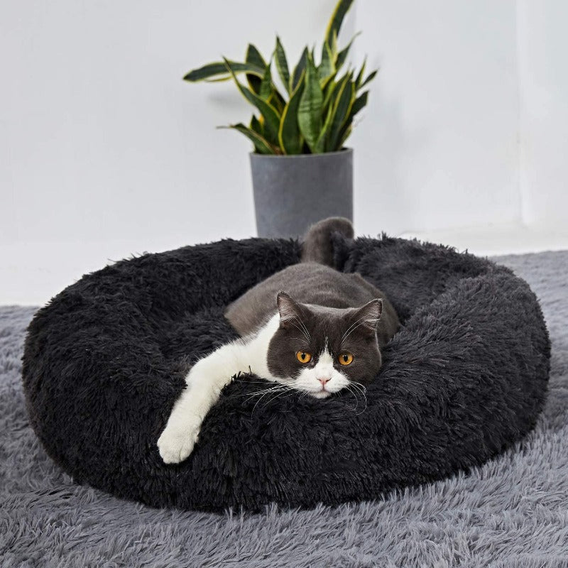 Skorter | PawNest Calming Donut Cat Bed | Round Plush Nest | Stress-Reducing & Cozy | Perfect for Cats & Small Dogs