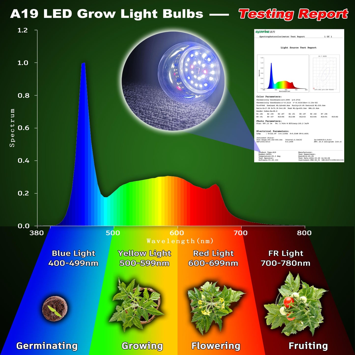 Skorter | Alide Growth Light Bulbs E12, 10W Full Spectrum Led, 5000K Red Blue For Indoor Plants, 6