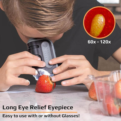 Skorter | Carson MicroBrite Plus 60x-120x LED Illuminated Pocket Microscope, Portable Handheld Microscope (MM-300)