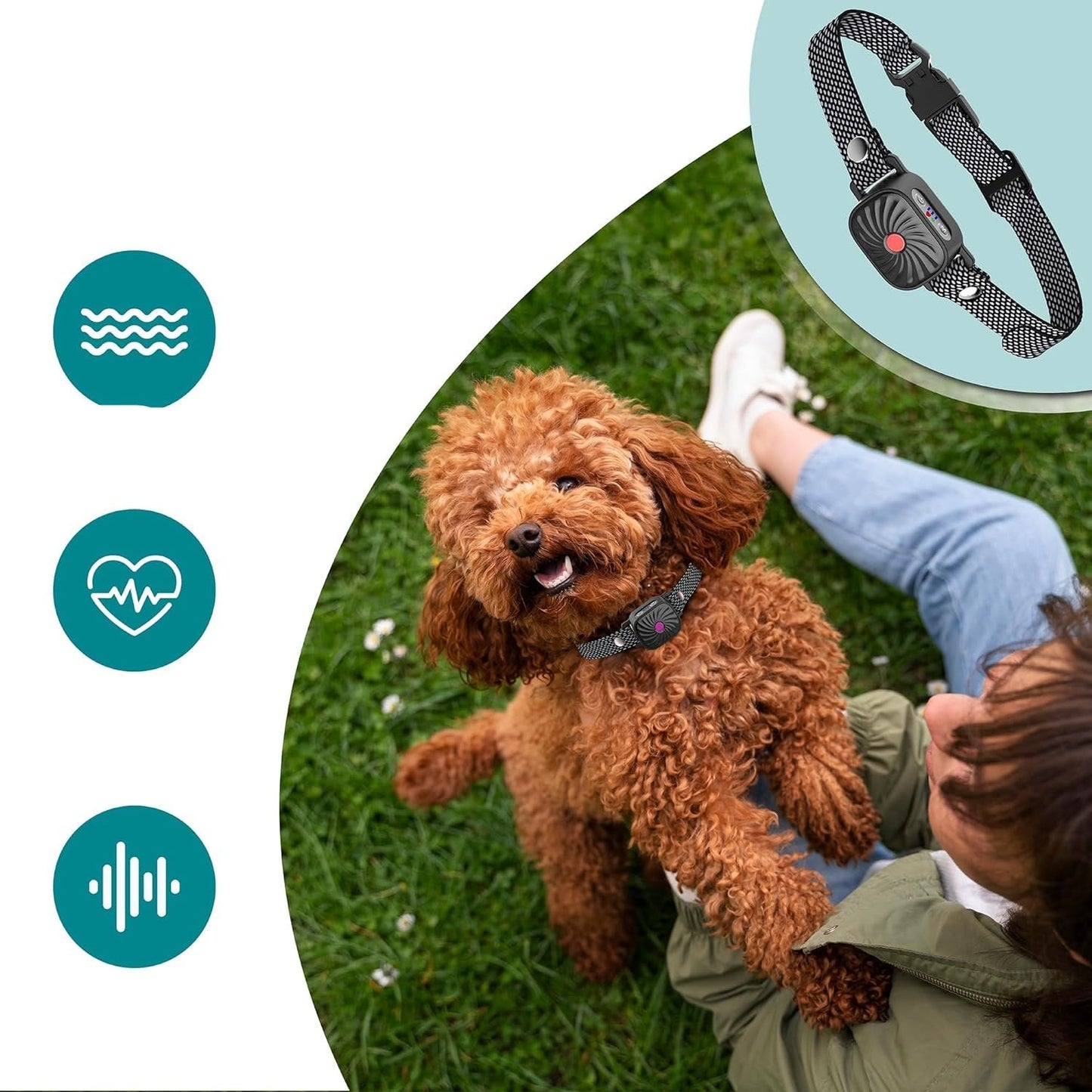 Skorter | Adjustable Anti Bark Collar for Dogs | Humane, Comfortable & Effective Bark Control Device for Small to Large Breeds