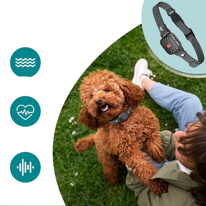 Skorter | Adjustable Anti Bark Collar for Dogs | Humane, Comfortable & Effective Bark Control Device for Small to Large Breeds