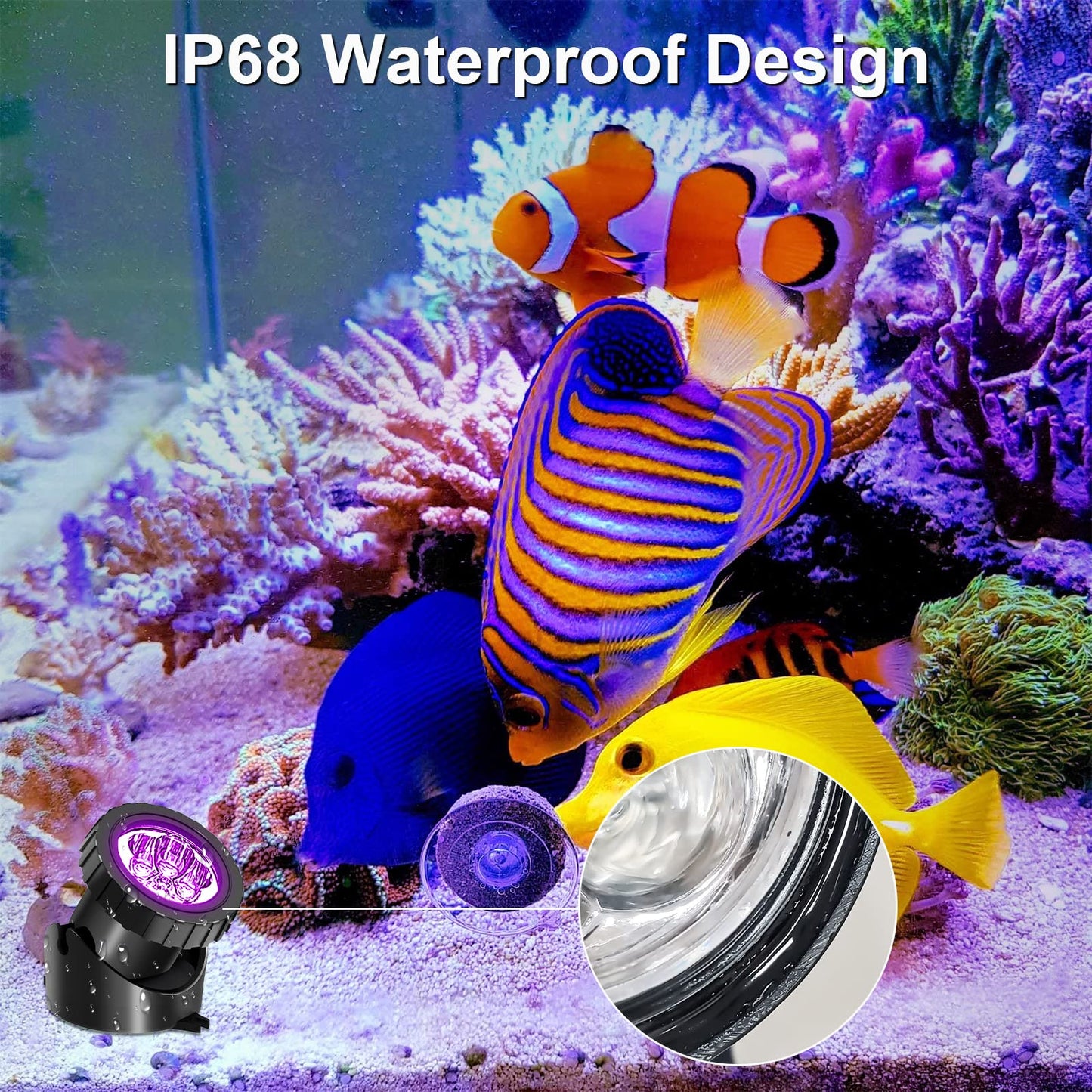Skorter | T-Sun 5 Head Rgb Led Spotlight With Remote Control - Underwater Spotlights For Garden, Pool, Aquarium