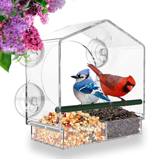 Skorter | Bird feeder in the window for outdoor use