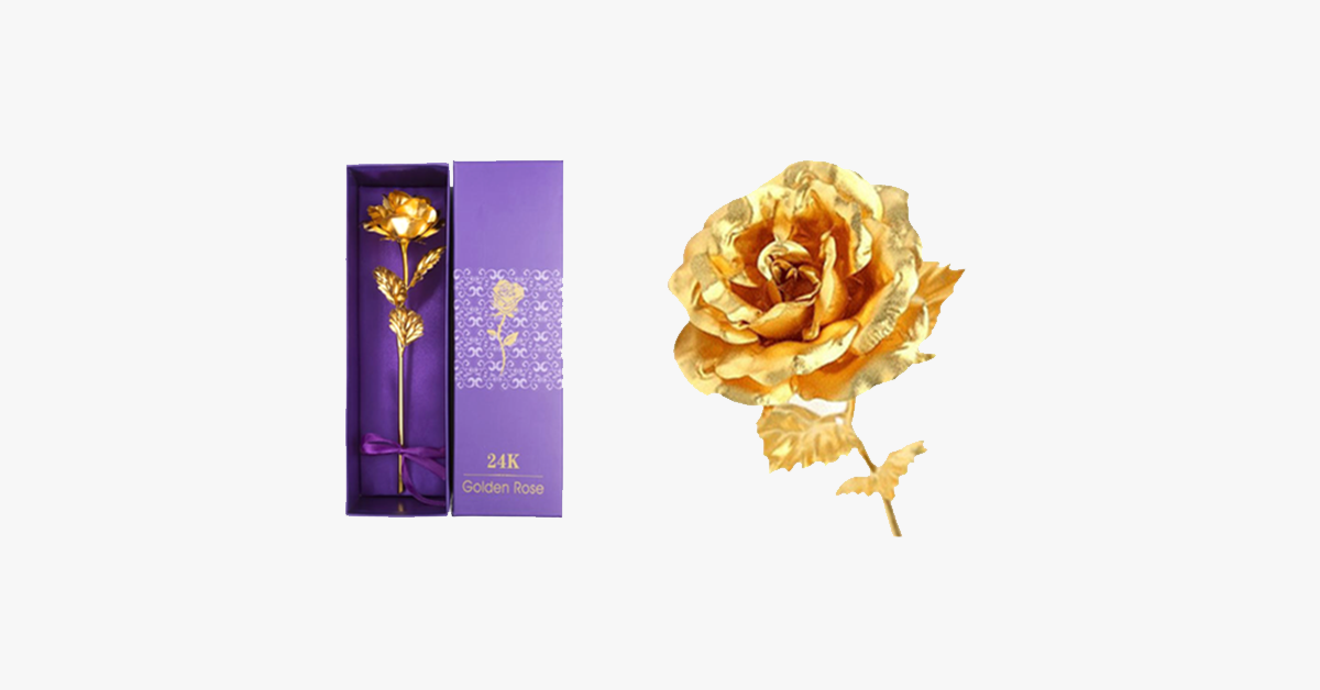 Skorter | 24K gold-plated real rose with gift box
