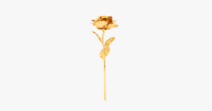 Skorter | 24K gold-plated real rose with gift box