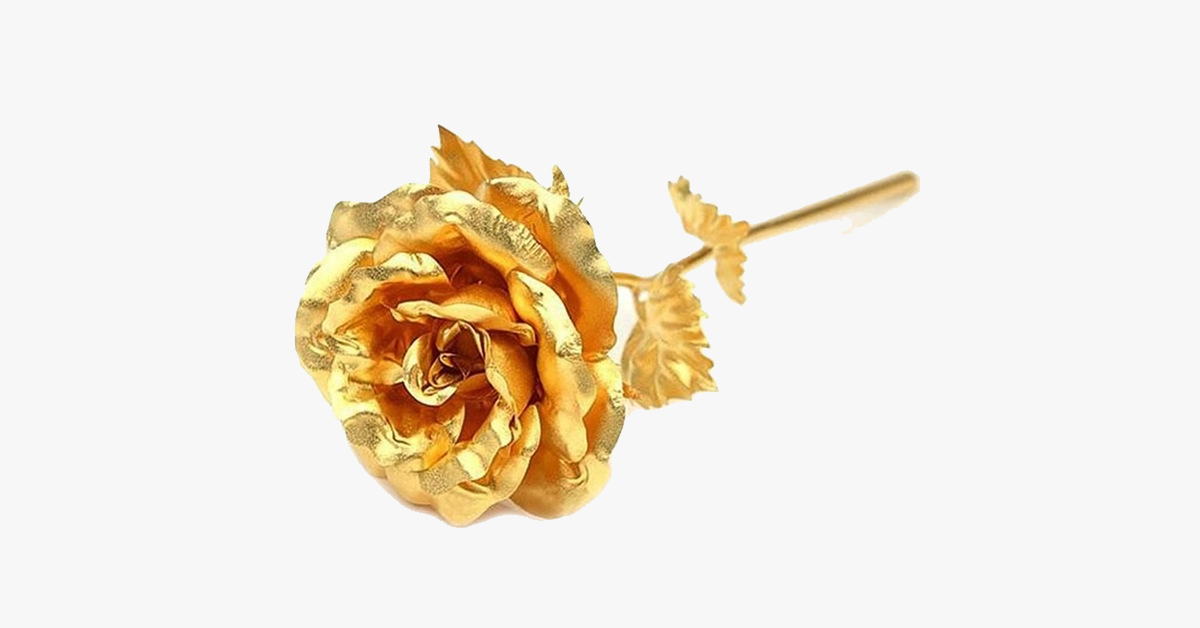 Skorter | 24K gold-plated real rose with gift box