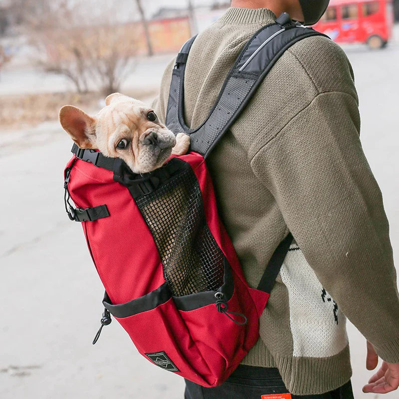 Skorter | Dog Backpack – Comfortable Carrying Bag for Medium Dogs with Safety Strap and Storage Pockets