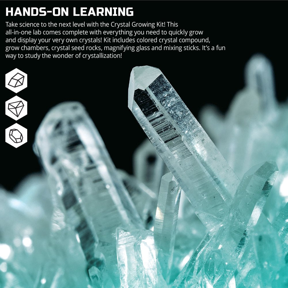 Skørter | Discovery™ #Mindblown 12-piece Natural Crystal Growth Science Kit, for Kids & Teens