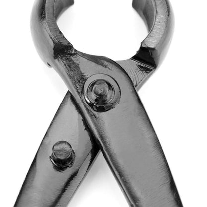 Skorter | Branch Button Cutter for Gardening