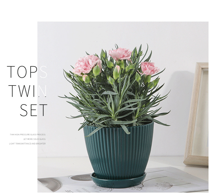 Skorter | Flower pot with groove structure and saucer – Sturdy plastic pot for plants