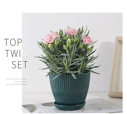 Skorter | Flower pot with groove structure and saucer – Sturdy plastic pot for plants