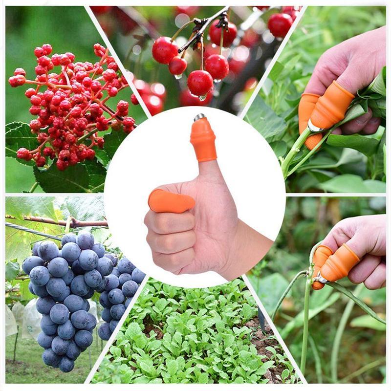 Skorter | (50% Off Today) Harvest vegetables, harvest fruits thumb measure