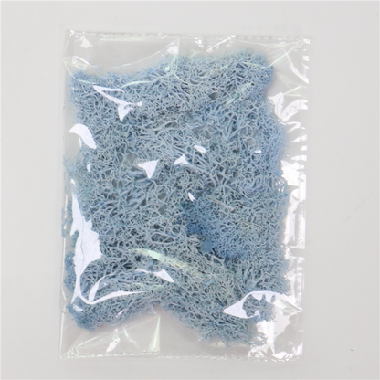 Skorter | Artificial Moss for Landscaping – Moss and Flowers for Decoration and Floristry