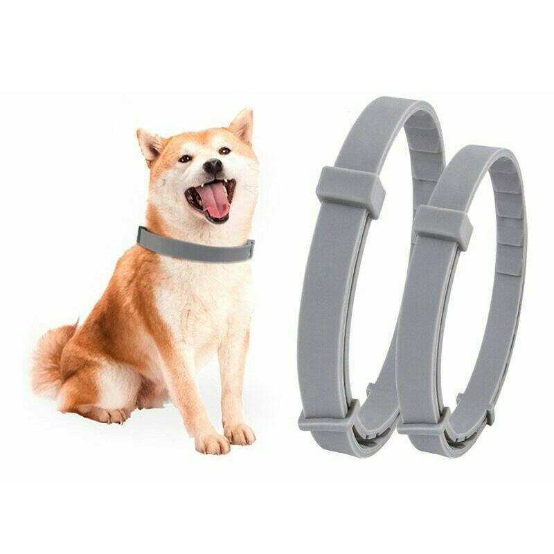 Skorter | Adjustable Insect Defense Collar for Pets