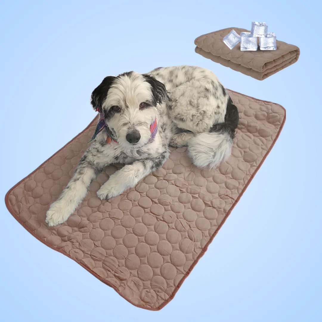 Skorter | COOLTAILS - Premium Cooling Mat