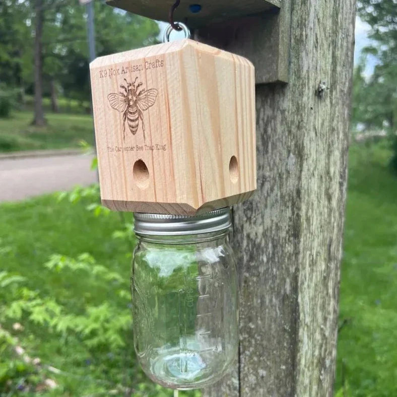 Skorter | Best Carpenter Bee Trap