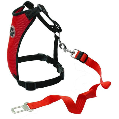 Skorter | Dog Safety Harness Set