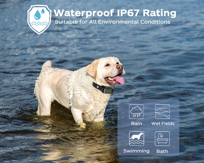 Skorter | Dog Collar No Shock