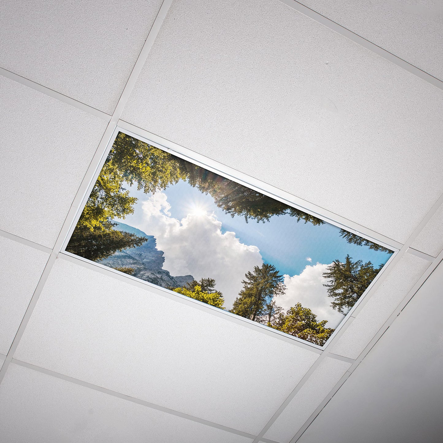 Skorter | Octo Light Fluorescent Light Covers - 2X4 Wood Mountain Sky - Focusing & Headache Relief