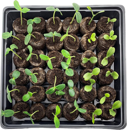 Skorter | Coconut Fiber Peat Seedling Pellets – Starter for Seed Planting