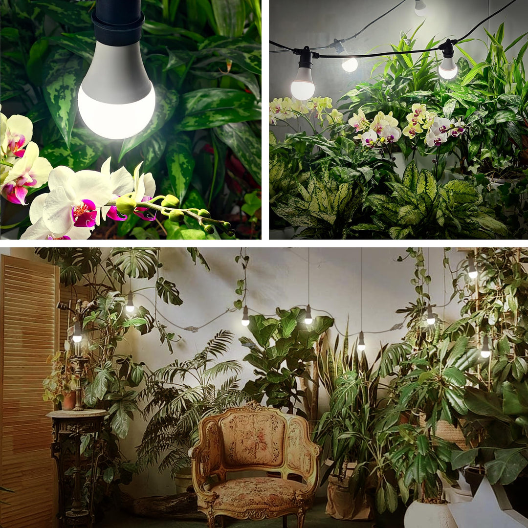 Skorter | Briignite Hanging Grow Light 5000K, Led Full Spectrum, 3 Replaceable Bulbs, 8.86Ft Cord