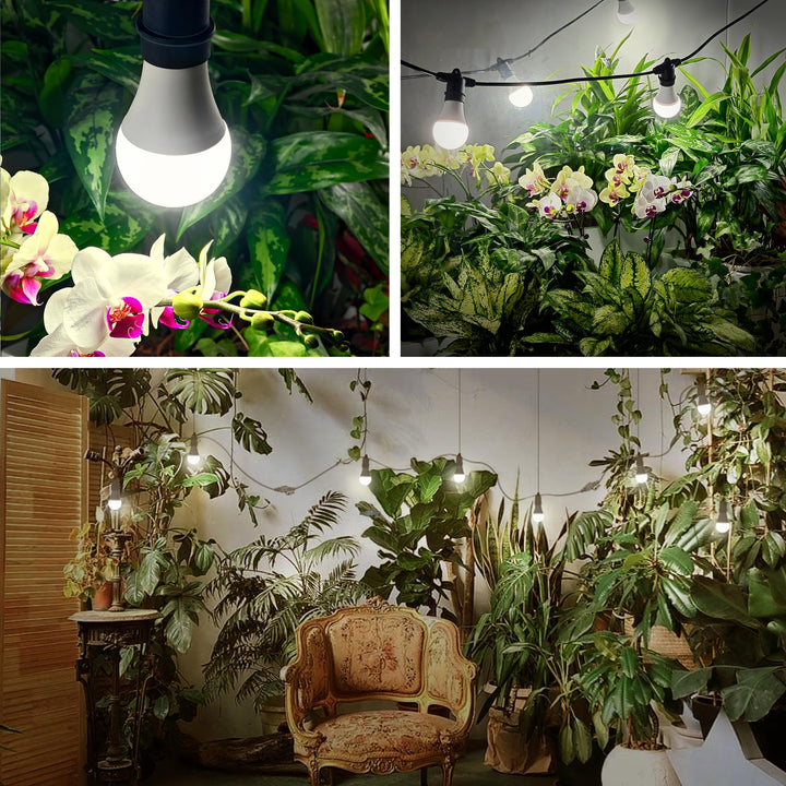 Skorter | Briignite Hanging Grow Light 5000K, Led Full Spectrum, 3 Replaceable Bulbs, 8.86Ft Cord