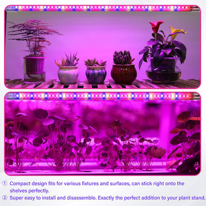 Skorter | Ipower 60W LED Grow Light Strips, Full Spectrum, 4 Tubes, Automatic Ticker, 10 Dimmable Levels