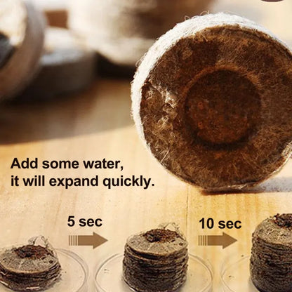 Skorter | Coconut Fiber Peat Seedling Pellets – Starter for Seed Planting