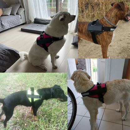 Skorter | Anti Choke Dog Harness