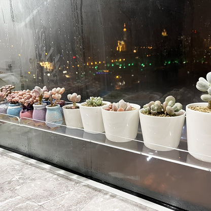 Skorter | Acrylic Shelf - Floating Hanging Shelf - Drill-Free Shower Shelf and Storage Shelf