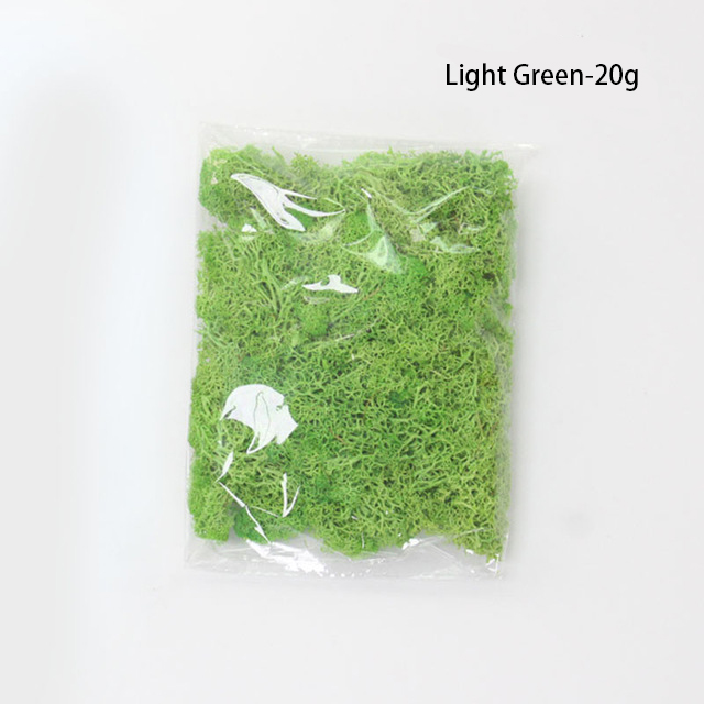 Skorter | Artificial Moss for Landscaping – Moss and Flowers for Decoration and Floristry