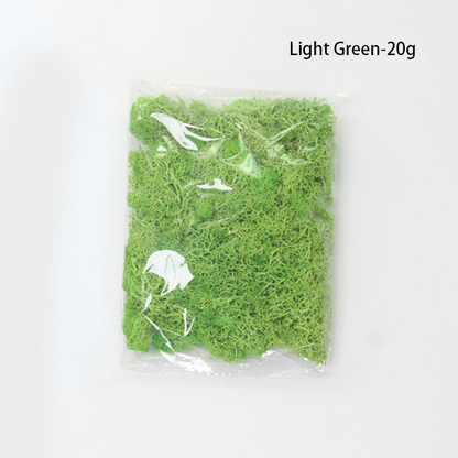 Skorter | Artificial Moss for Landscaping – Moss and Flowers for Decoration and Floristry