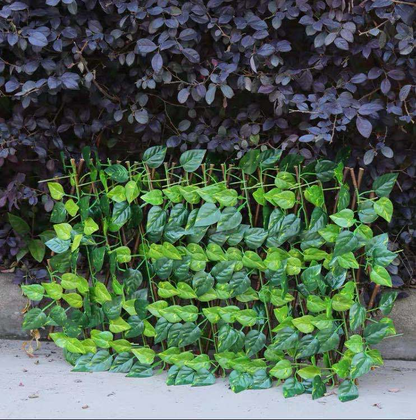 Skorter | Artificial Ivy Garden Fence Privacy Screen for Balcony