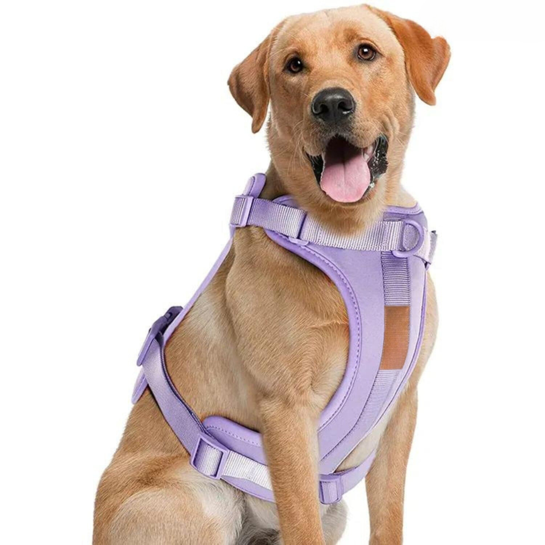 Skorter | ComfyPaws Dog Harness Walking Set with Leash and Poop Bag Holder