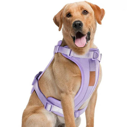 Skorter | ComfyPaws Dog Harness Walking Set with Leash and Poop Bag Holder
