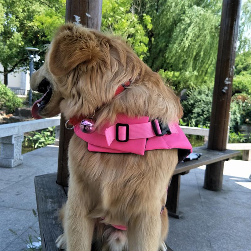 Skorter | Dog Swim Safety Jacket