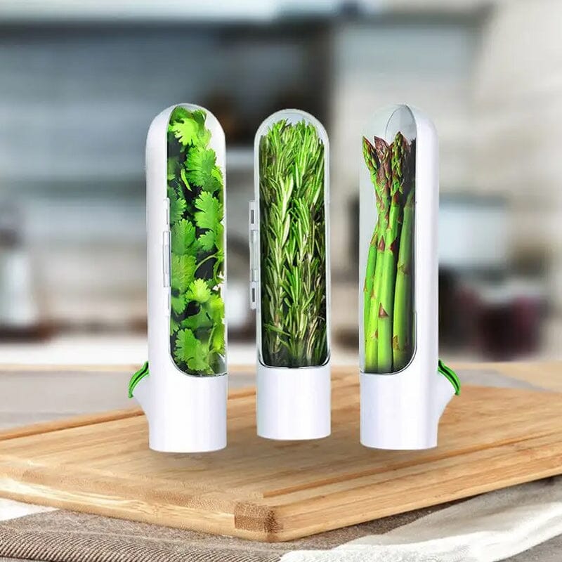 Skorter | Herb Fresh Holder