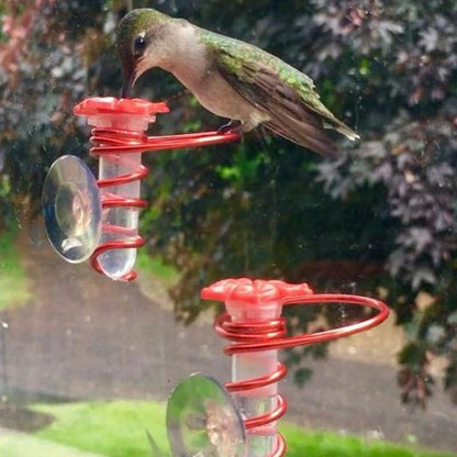 Skorter | Window Hummingbird Feeder