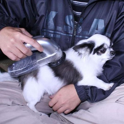 Skorter | Best handheld vacuum for pet hair