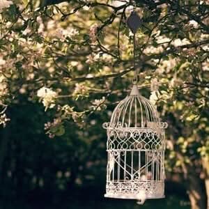 Skorter | BlumenLift Height Regulator