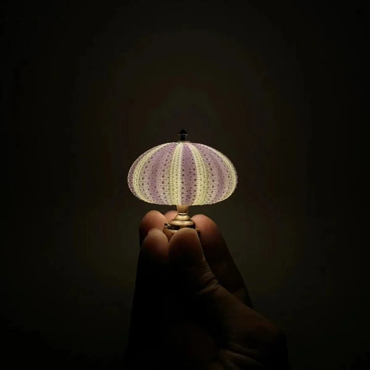 Skorter | LumiCraft – Unique DIY table lamp with natural sea shell for a cozy décor