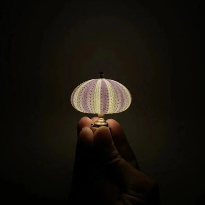 Skorter | LumiCraft – Unique DIY table lamp with natural sea shell for a cozy décor