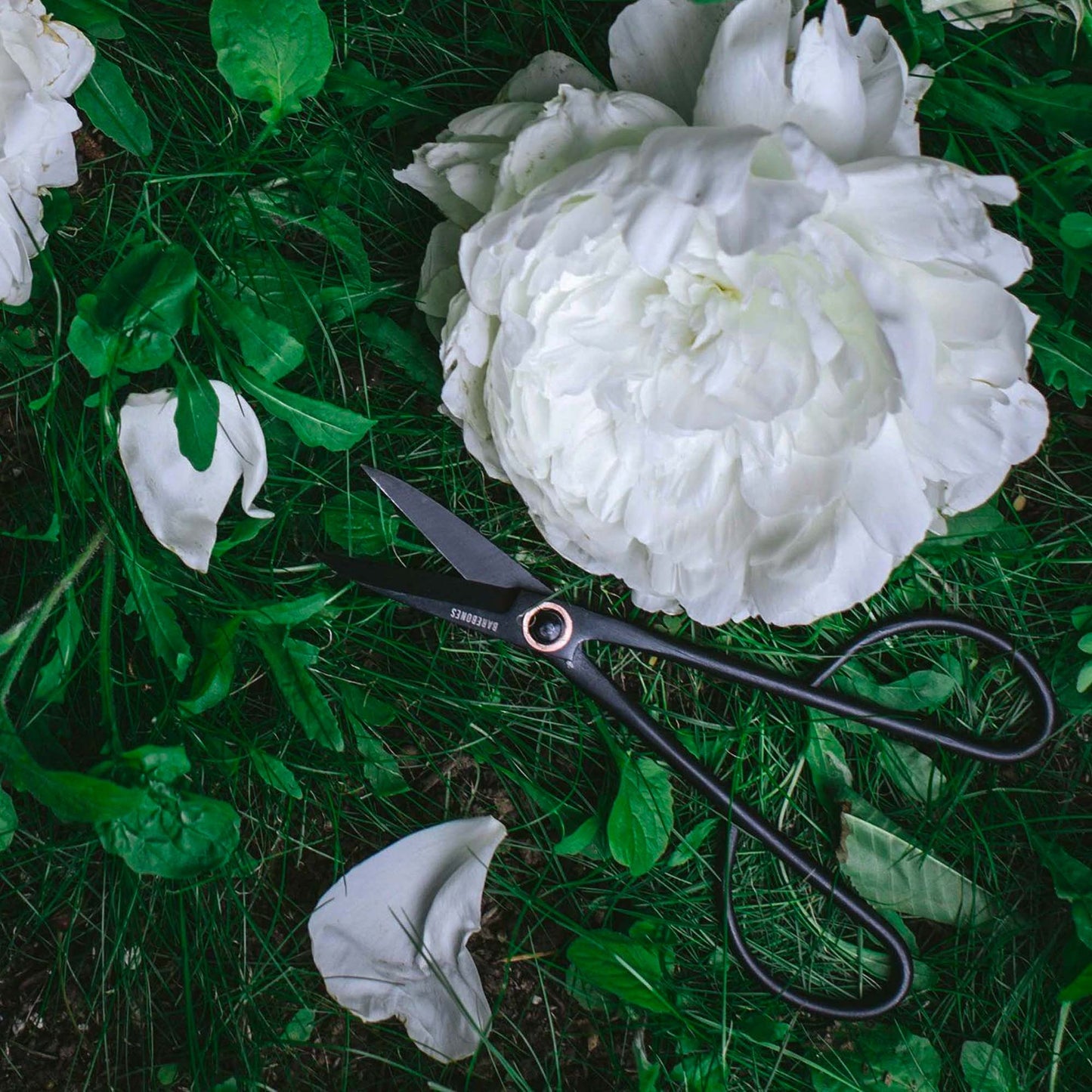 Skorter | Craftsman Pruning & Shears