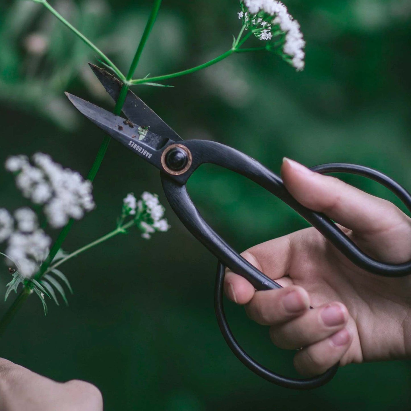 Skorter | Craftsman Pruning & Shears