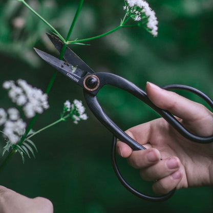 Skorter | Craftsman Pruning & Shears