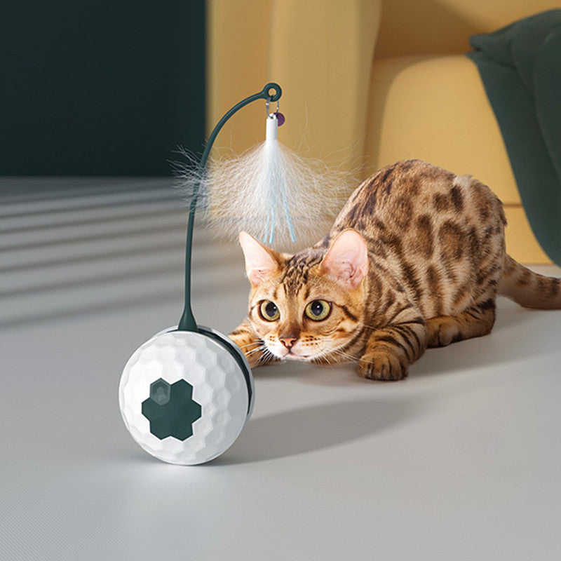 Skorter | Automatic Funny Cat Toy