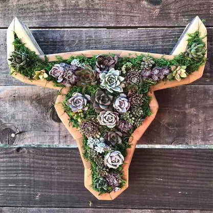 skorter | Animal Succulent Garden Arrangement