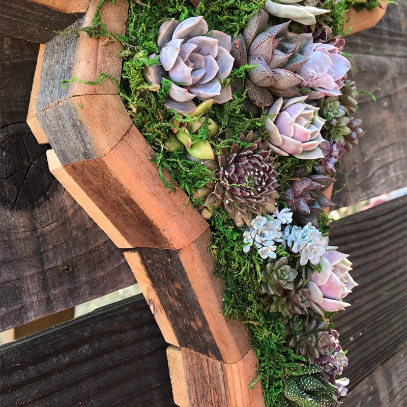 skorter | Animal Succulent Garden Arrangement